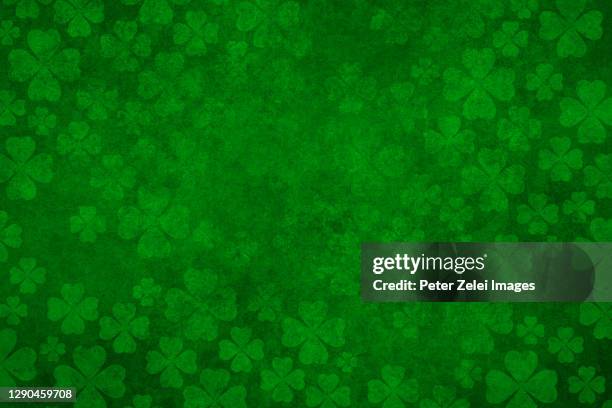 green clover background - march month bildbanksfoton och bilder