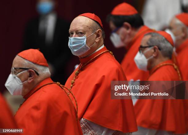 Cardinal Ravasi 253 Gianfranco Ravasi Cardinal Stock Photos, High-Res Pictures, and ...