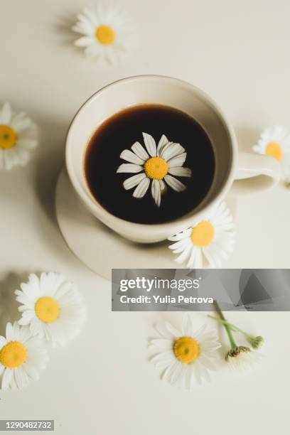 cup of coffee with chamomile - chamomile tea stock pictures, royalty-free photos & images