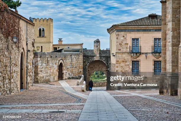 old town of zamora, spain - zamora stock-fotos und bilder