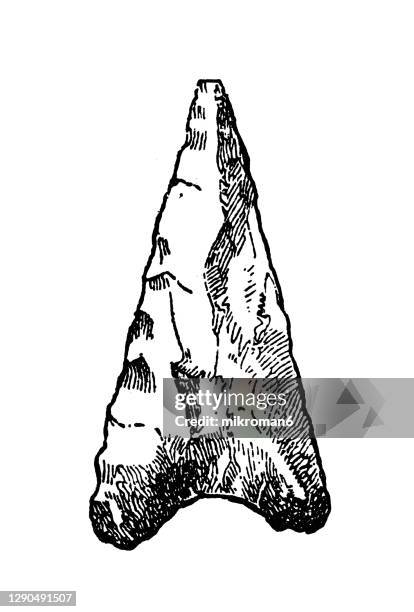 old engraved illustration of tools, weapons and devices from stone and bronze age, fine palaeolithic arrow points - paleo imagens e fotografias de stock