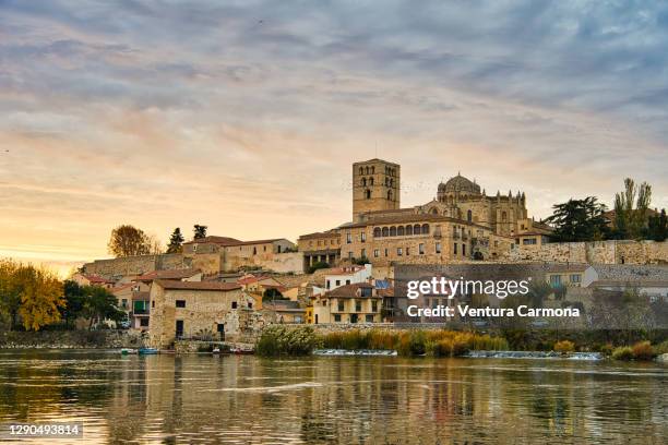 cathedral and old town of zamora, spain - zamora provincie stockfoto's en -beelden