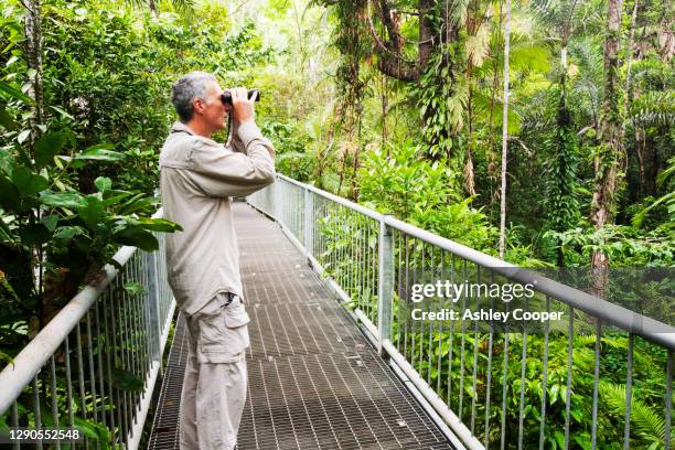 the daintree discovery centre in the daintree rainforest in the north of queensland, australia. - daintree australia stock pictures, royalty-free photos & images