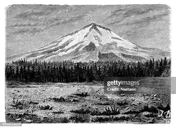 mount shasta, cascade range, northern california, united states - mount shasta stock illustrations