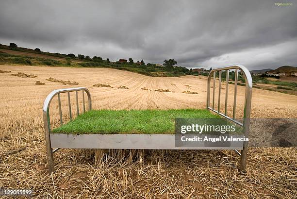 Steel bed in field