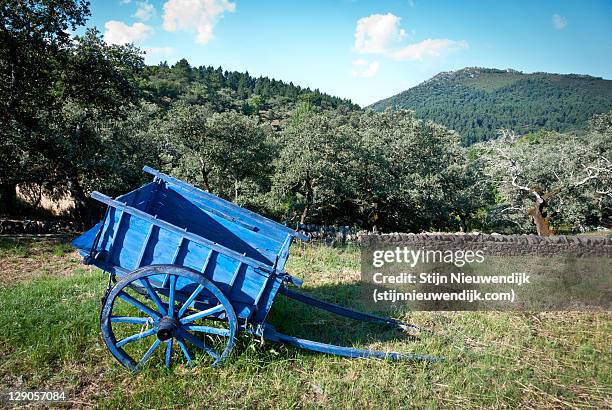 blue cart at rio molino alajar - nieuwendijk stock pictures, royalty-free photos & images