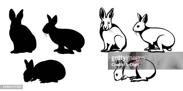 bunnyonetwothree - easter bunny stock illustrations