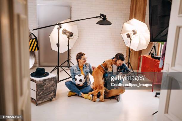 happy atmosphere in photo studio - pets thunderstorm stock pictures, royalty-free photos & images