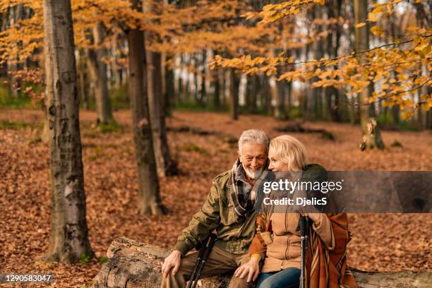 senior couple sitting in the forest and embracing. - autumn stock pictures, royalty-free photos & images
