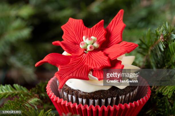poinsettia cupcake - poinsettia stock pictures, royalty-free photos & images