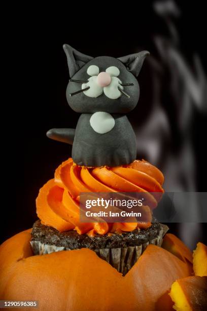 black cat cupcake - pumpkin cats fotografías e imágenes de stock