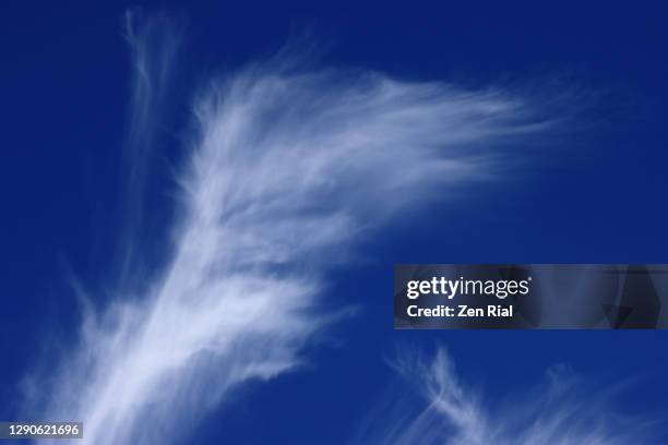 wispy white clouds against blue sky2 - wispy stock-fotos und bilder