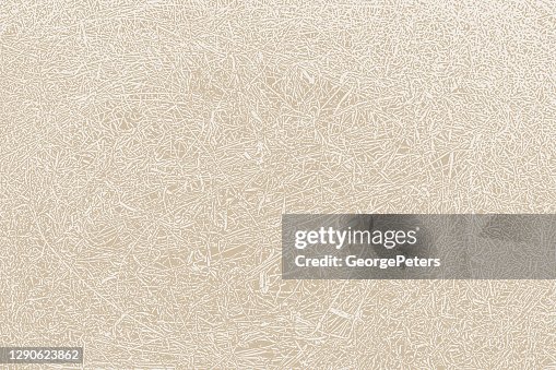 Dried grass texture background Dried grass texture background