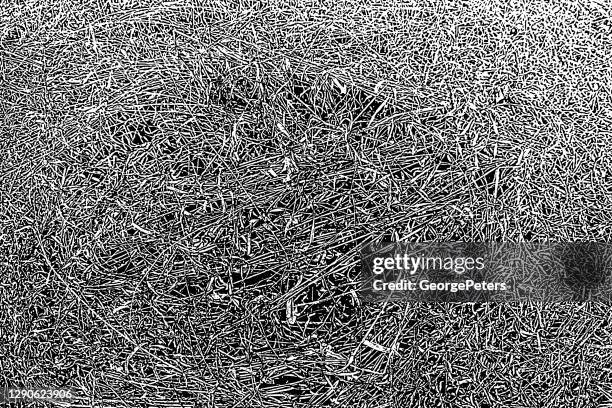dried grass texture background - macro nature stock illustrations