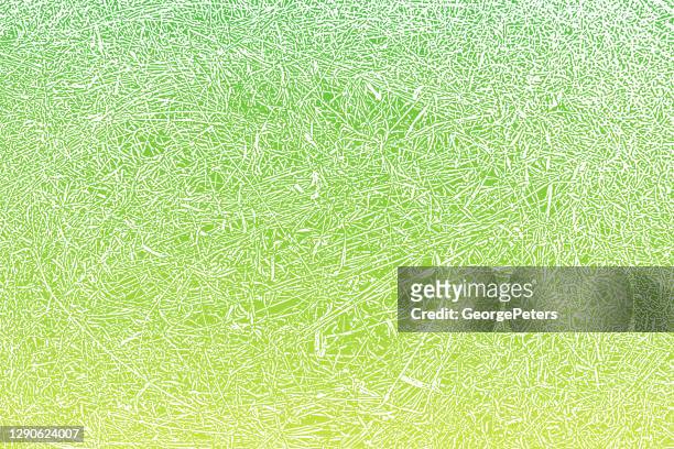 69,448 Grass Pattern Photos and Premium High Res Pictures - Getty Images
