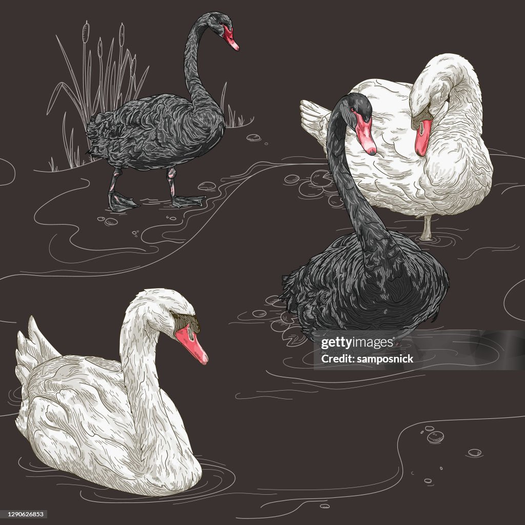 Detailed Vintage Elegant Swan Seamless Pattern
