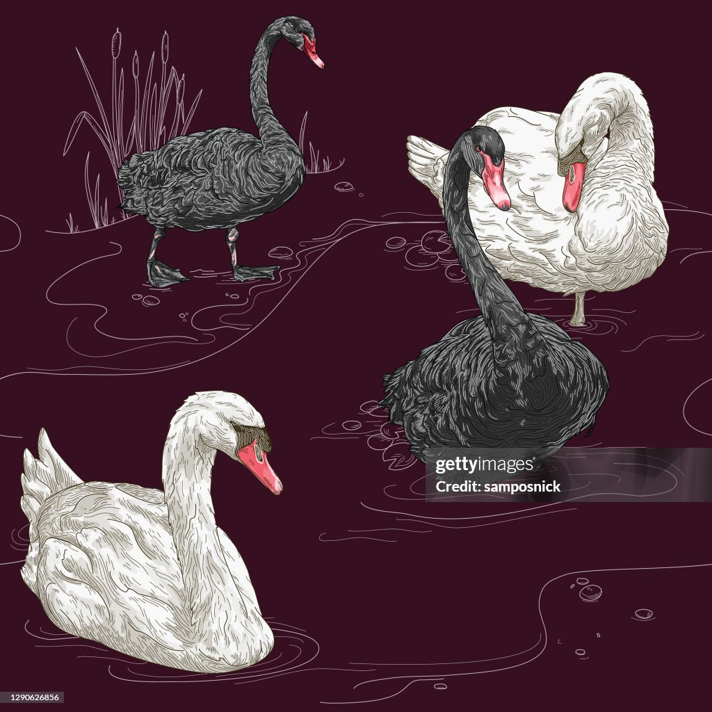 Detailed Vintage Elegant Swan Seamless Pattern