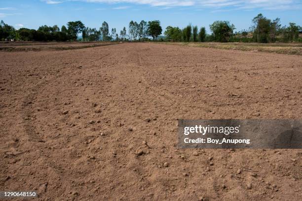 1,633 Farm Soil Texture Stock Photos, High-Res Pictures, and Images ...