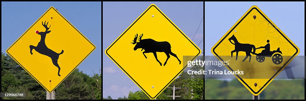 Perils of Northern Travel