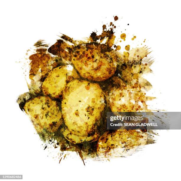 roast potatoes illustration - neue kartoffel gekocht stock-fotos und bilder