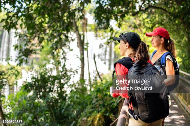 twee jonge vrouw die door bomen bij een majestueuze waterval kijkt - iguacu falls stockfoto's en -beelden