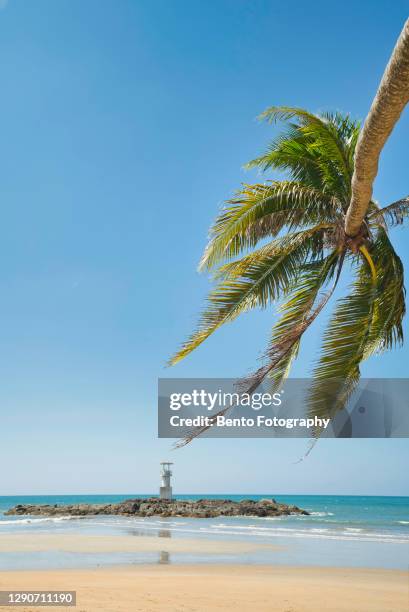 coconut palm tree and khao lak lighthouse on beautiful white sand beach, phangnga, thailand - khao lak stock pictures, royalty-free photos & images