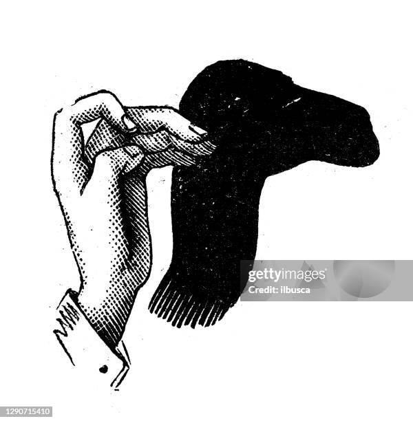 antique illustration: shadow puppetry - shadow puppet stock illustrations