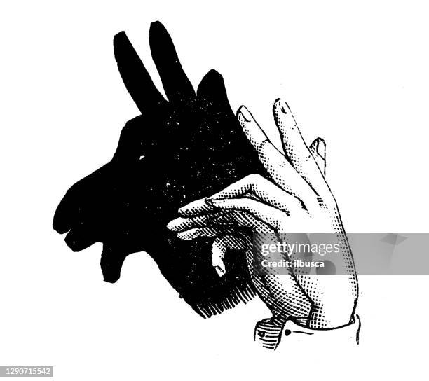antique illustration: shadow puppetry - shadow puppet stock illustrations