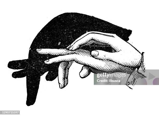 antique illustration: shadow puppetry - shadow puppet stock illustrations