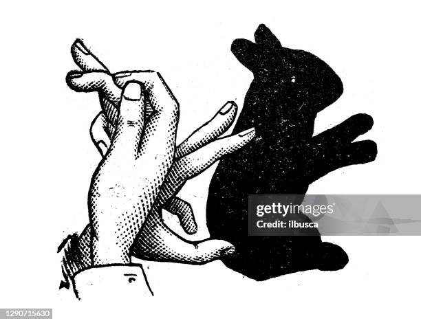 antique illustration: shadow puppetry - shadow puppet stock illustrations