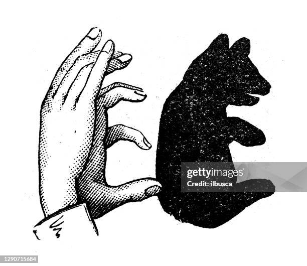 antique illustration: shadow puppetry - shadow puppet stock illustrations