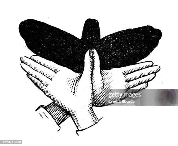 antique illustration: shadow puppetry - shadow puppet stock illustrations
