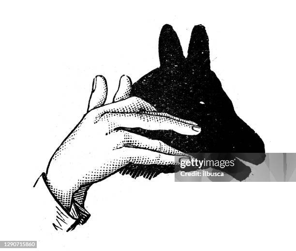 antique illustration: shadow puppetry - shadow puppet stock illustrations