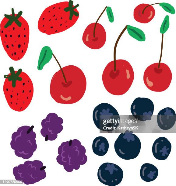 beeren und kirschen vektorzeichnung - beere obst stock-grafiken, -clipart, -cartoons und -symbole