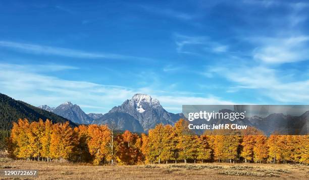 the colorful trees of the valley - moran photos et images de collection