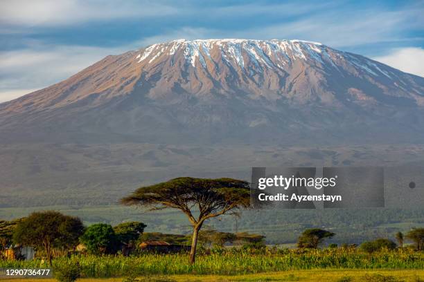 mt kilimanjaro - mt kilimanjaro stockfoto's en -beelden