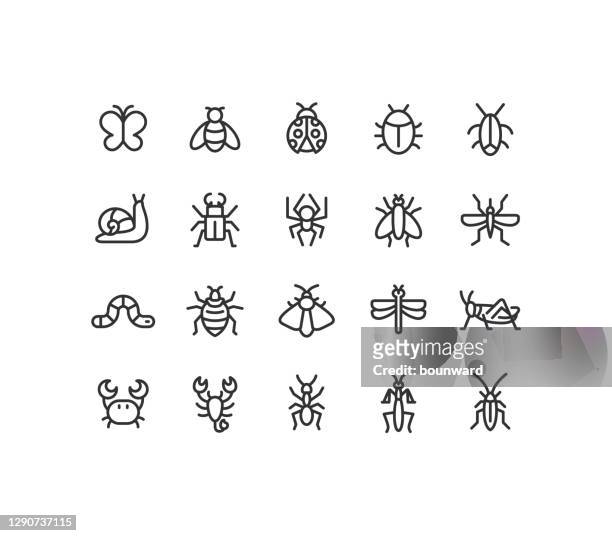 ilustraciones, imágenes clip art, dibujos animados e iconos de stock de iconos de línea de insectos trazo editable - ladybird
