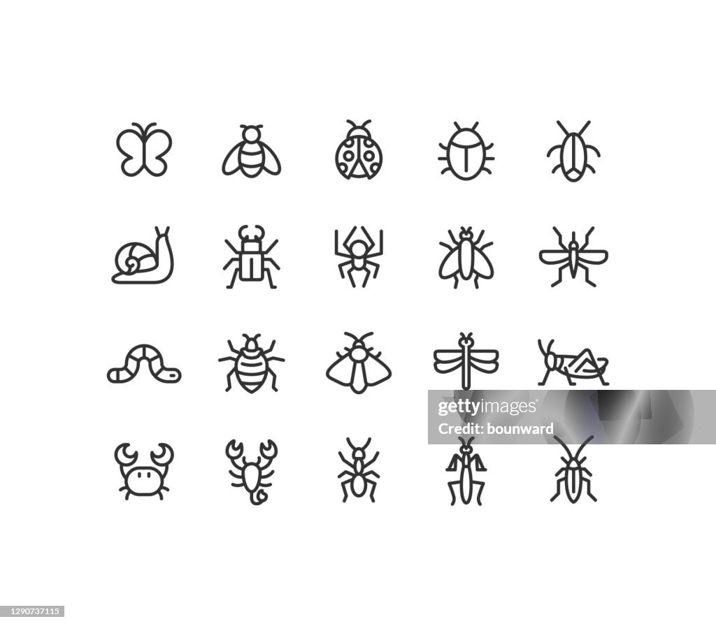 Insect Line Icons Editable Stroke