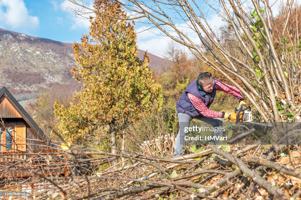 Man on Mountain Meadow Sawing Hazel Bush to Clean the Overgrown Fence