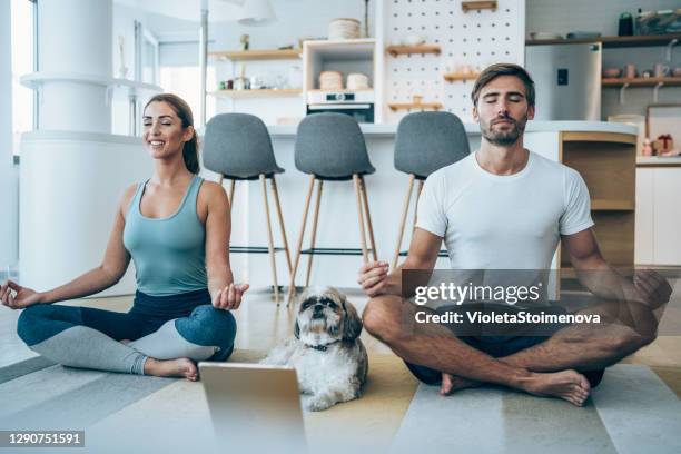 junges paar meditiert in lotus-position zu hause. - mann frau hund zuhause stock-fotos und bilder