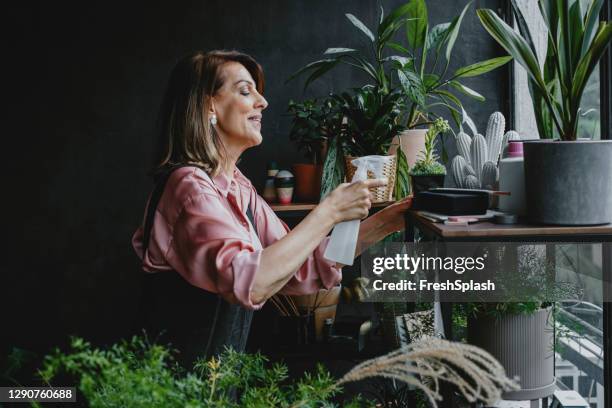 seitenansicht einer seniorin, die in ihrem blumenladen die pflanzen gießt - frau schön kaktus stock-fotos und bilder
