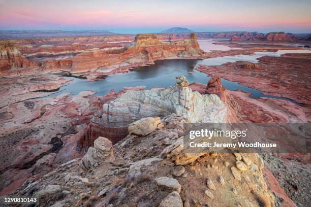 view of lake powell from alstrom point - gunsight butte stock pictures, royalty-free photos & images