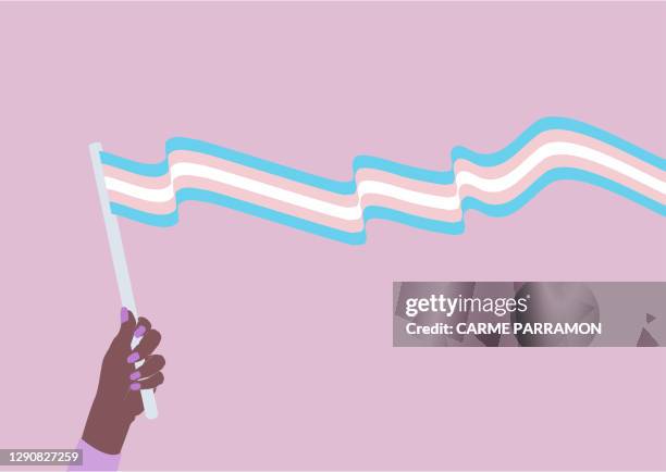 transgender flag - transgender awareness week stock illustrations