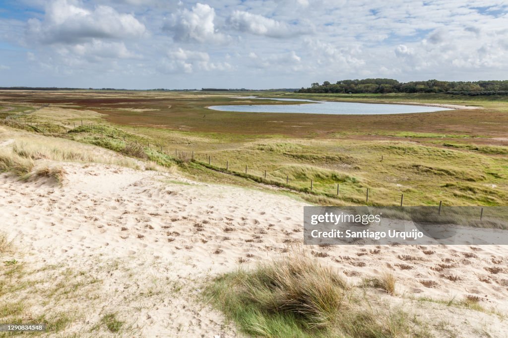 Nature reserve of Zwin