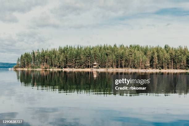 scenic view of a log cabin in a coniferous forest on the island of the calm karelian lake - lakeshore stock pictures, royalty-free photos & images