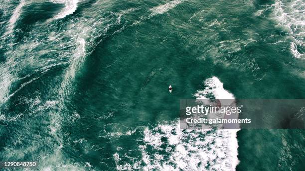 surfer and the great sea - north sea stock pictures, royalty-free photos & images