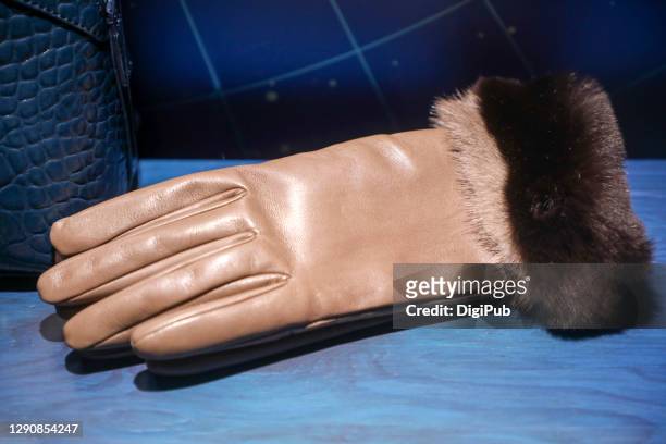women’s leather gloves - leather glove stockfoto's en -beelden
