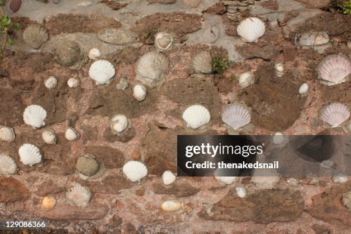 Shells Shells