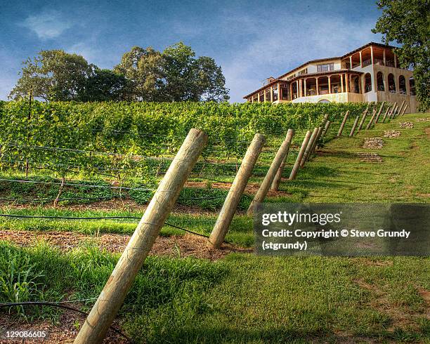 vineyard - dahlonega stock pictures, royalty-free photos & images
