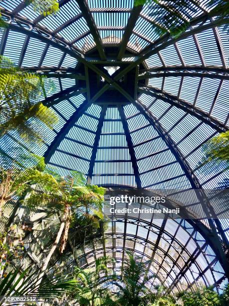 balboa park conservatory botanical building - balboa park stock pictures, royalty-free photos & images